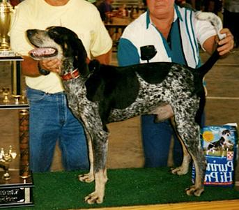 Smokey River Jeans Blue Tramp | Bluetick Coonhound 