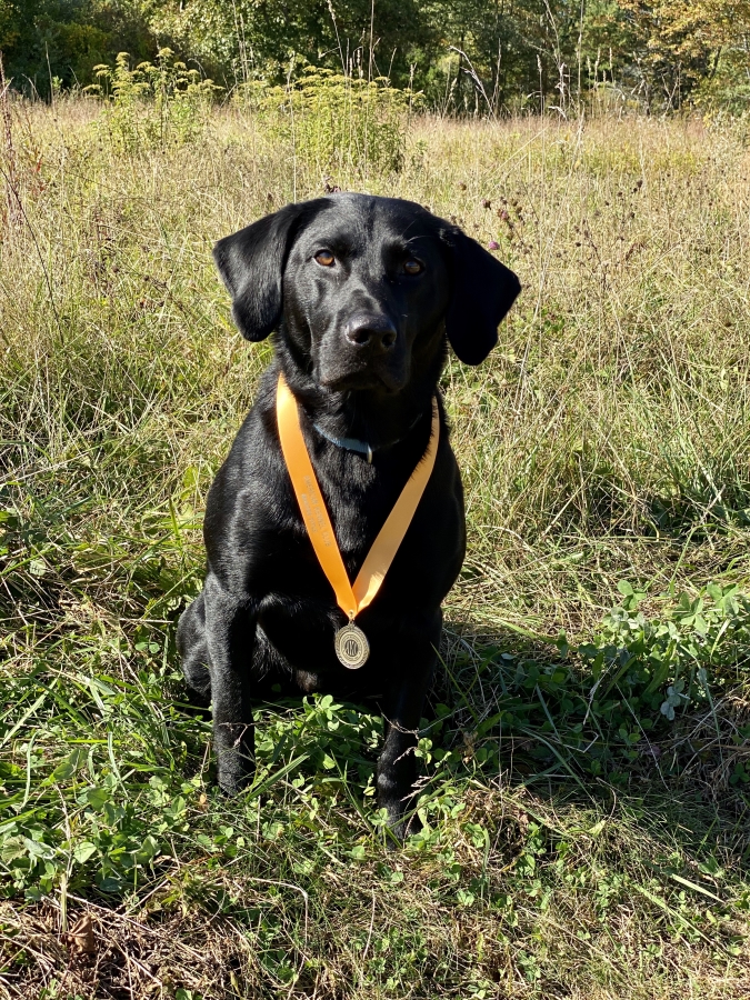 Pleasant Pine's Cracker Jack MH CDX GO RA NW3 CGC WC | Black Labrador Retriver