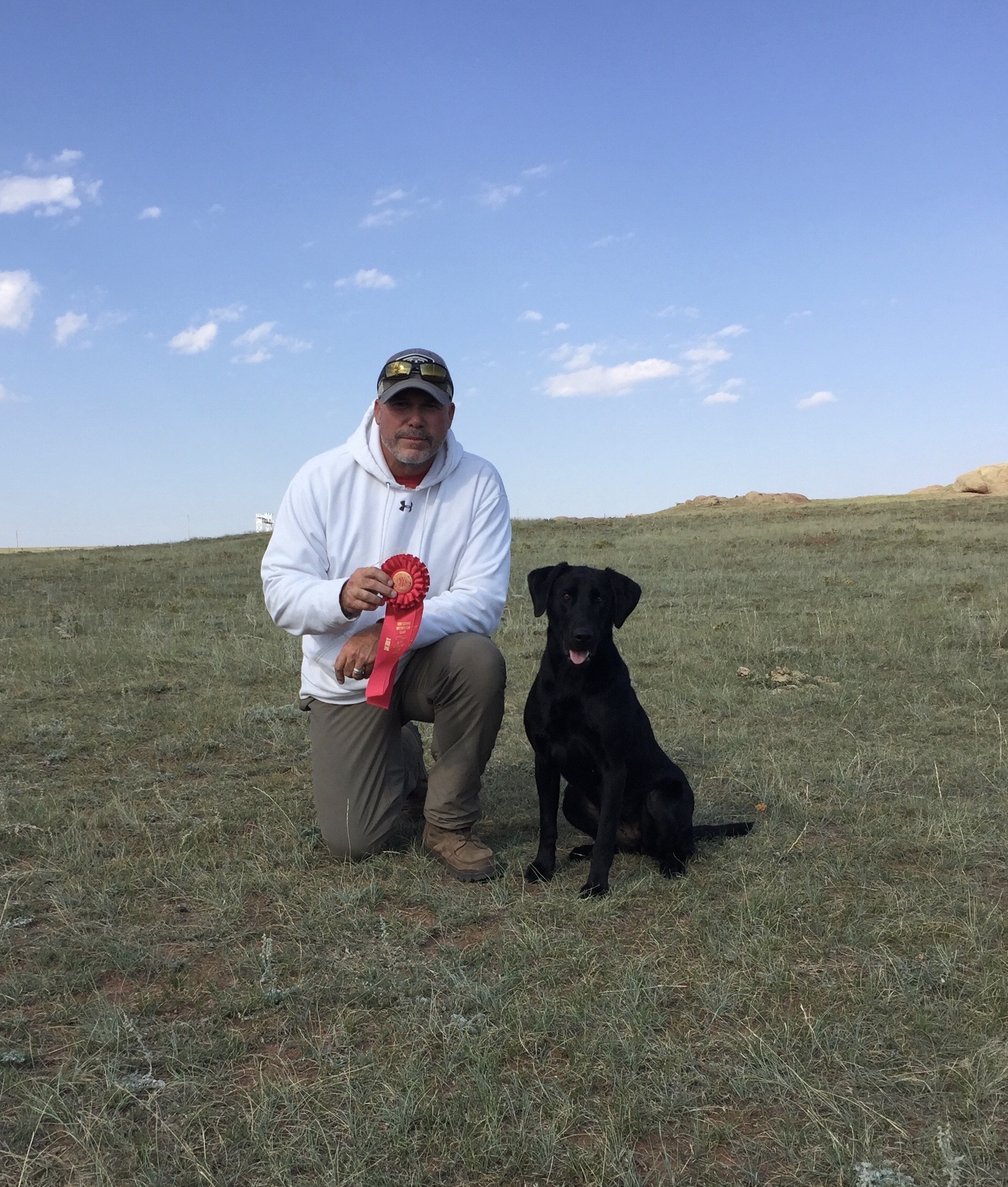 FC Glenhoma's Soggy Bottoms Mildred | Black Labrador Retriver