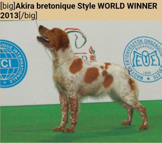 AGRA Bretonique Style | Brittany 