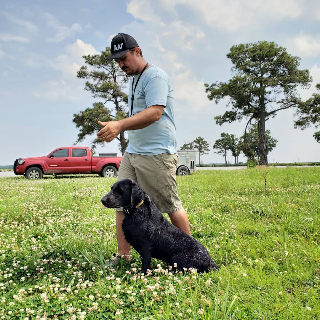 Buffalo Creeks Bell Of The Ball | Black Labrador Retriver