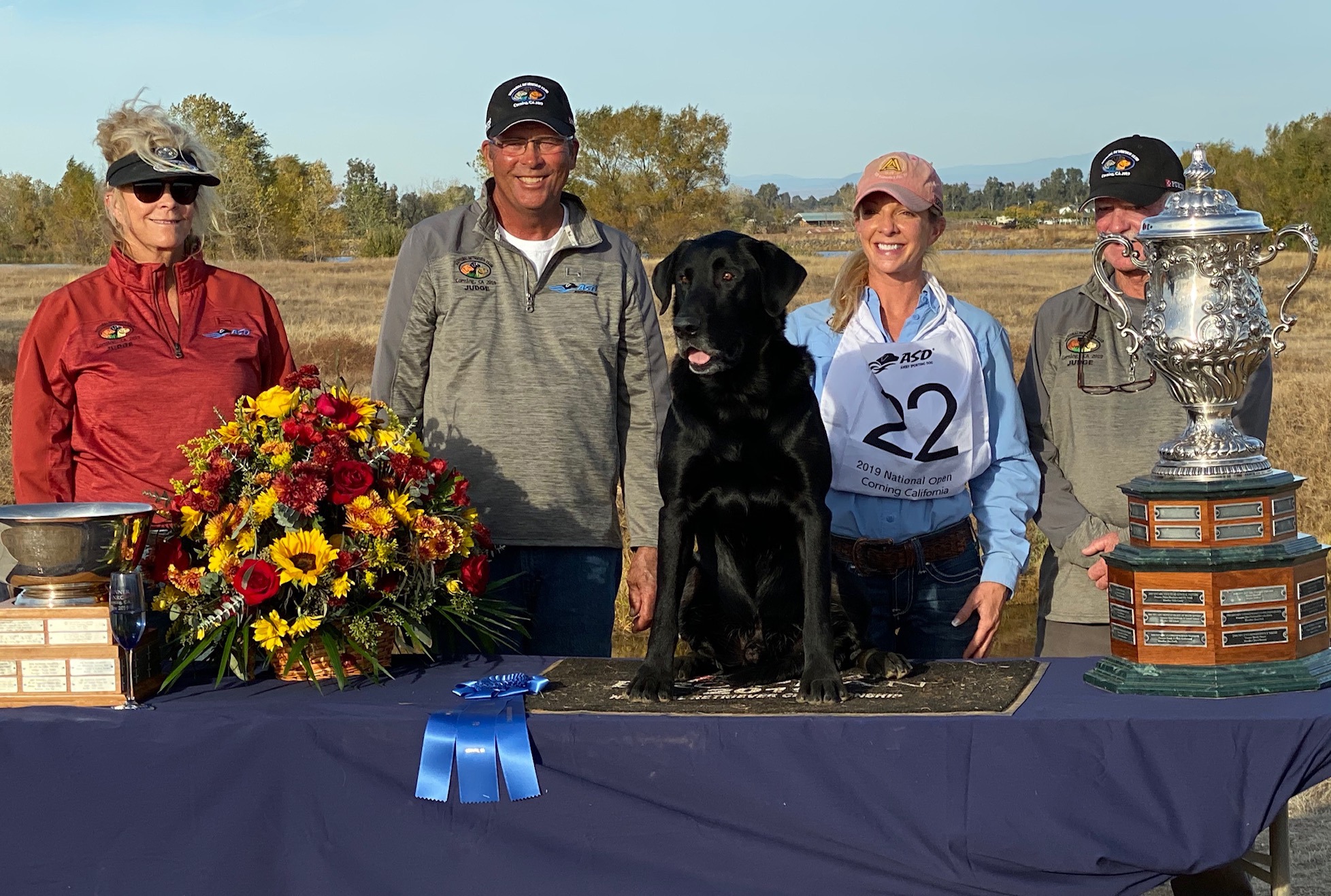 2019 NFC FC AFC Bayou Teche Swing For The Fence | Black Labrador Retriver