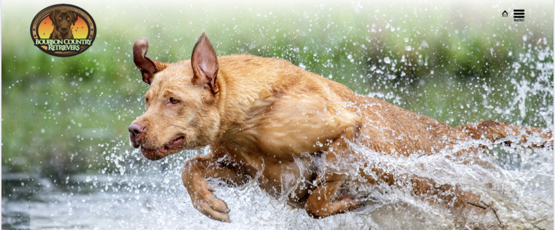 HR Bourbon Country’s  Single Barrel Rye | Yellow Labrador Retriver