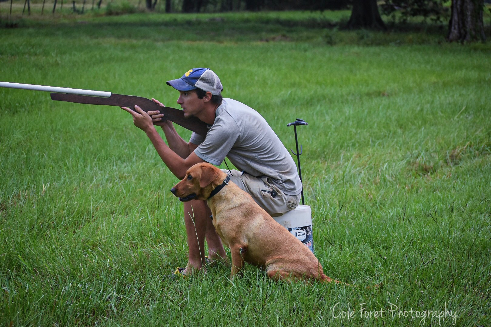 Belle Du Sud | Yellow Labrador Retriver