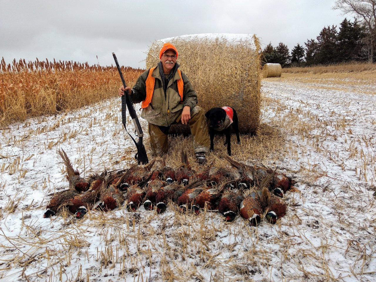 CPR Rabbit River Black Powder Josie | Black Labrador Retriver