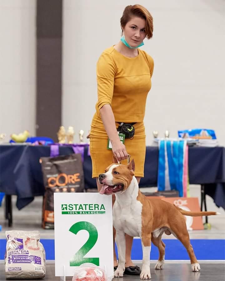 Severnaya Zhemchuzhina Forse Space | American Staffordshire Terrier 