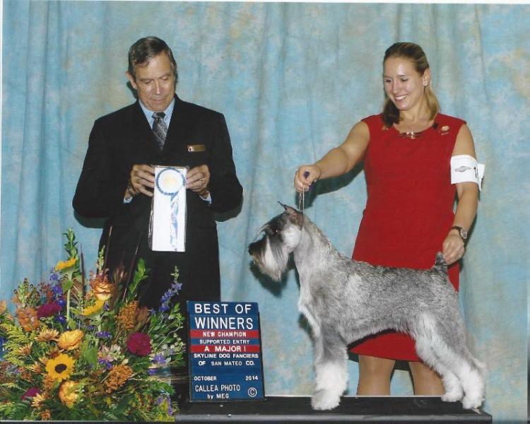 Wunderkind Uhlan Foto Finish | Standard Schnauzer 