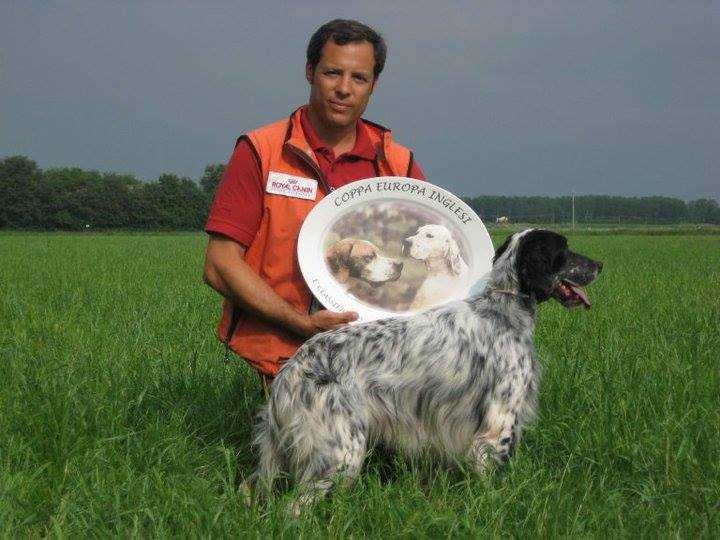 Hectore del Zagnis | English Setter 