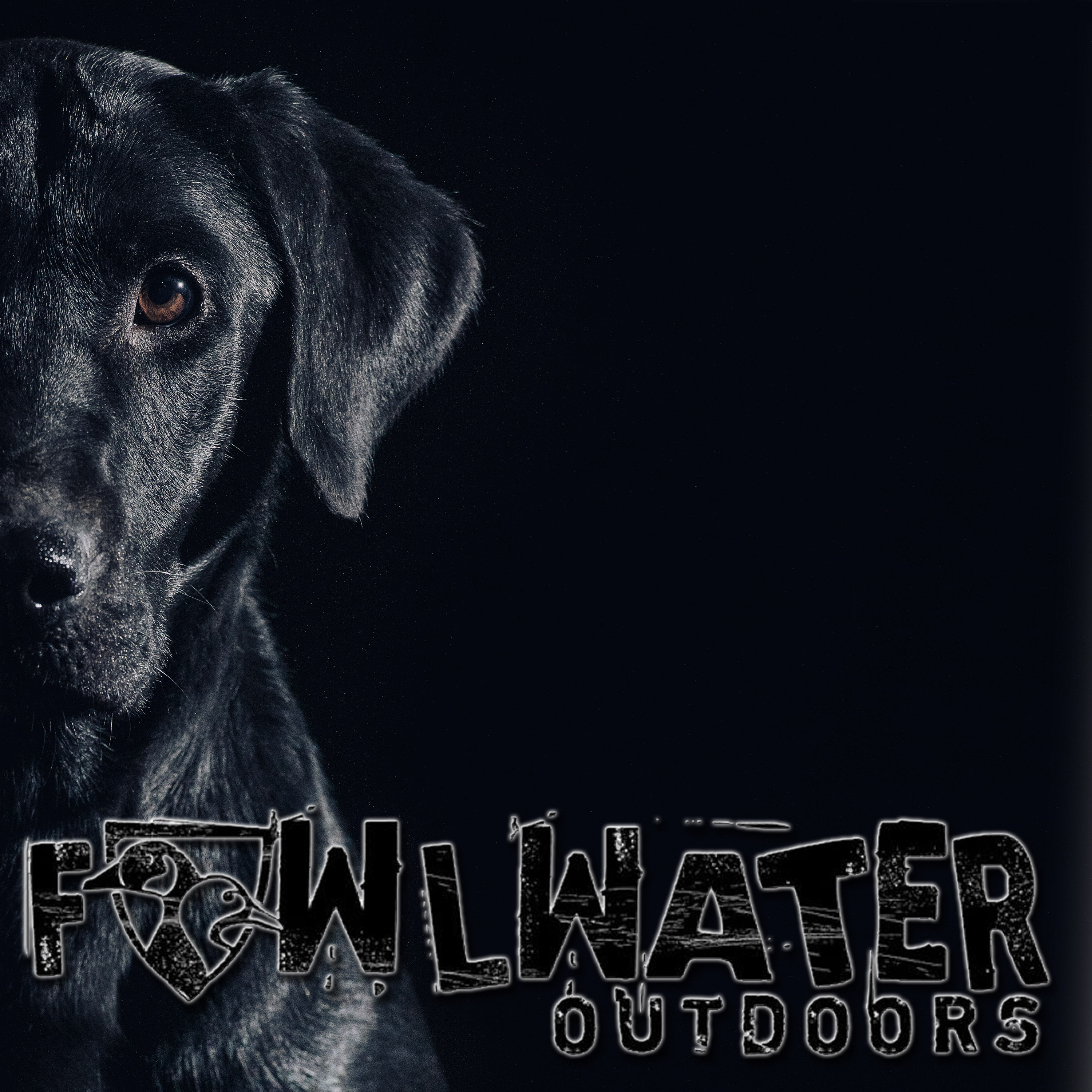 Contender's Will If I Want II | Black Labrador Retriver