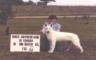 Hoofprint Utopia | White Swiss Shepherd Dog 