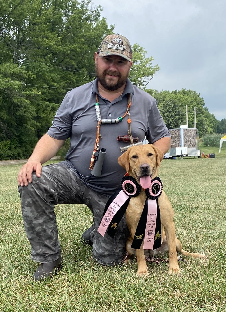 SHR  Greenwing’s Princess Buttercup | Yellow Labrador Retriver