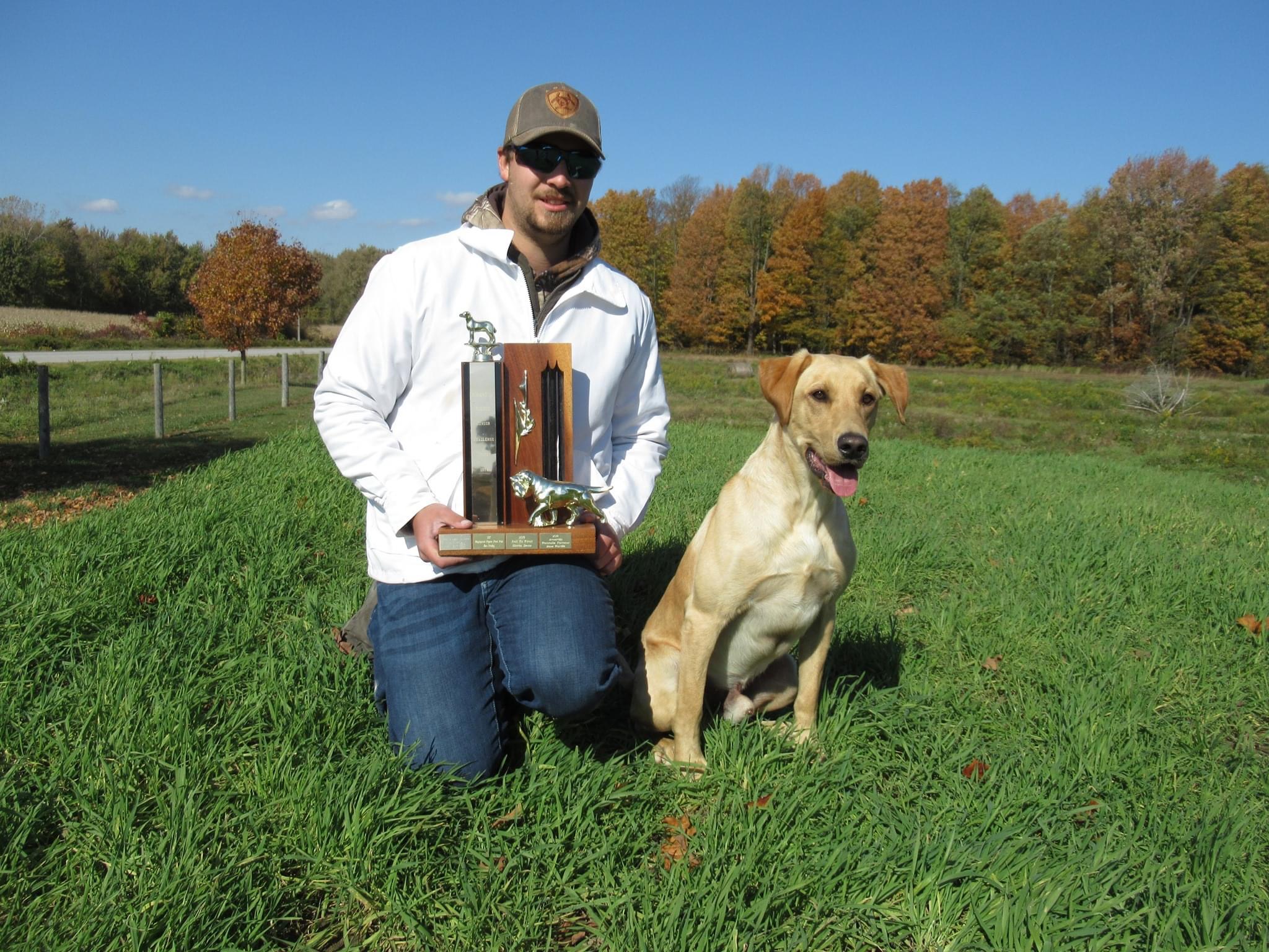 The Springwater Shotgun Ryder JFTR | Yellow Labrador Retriver