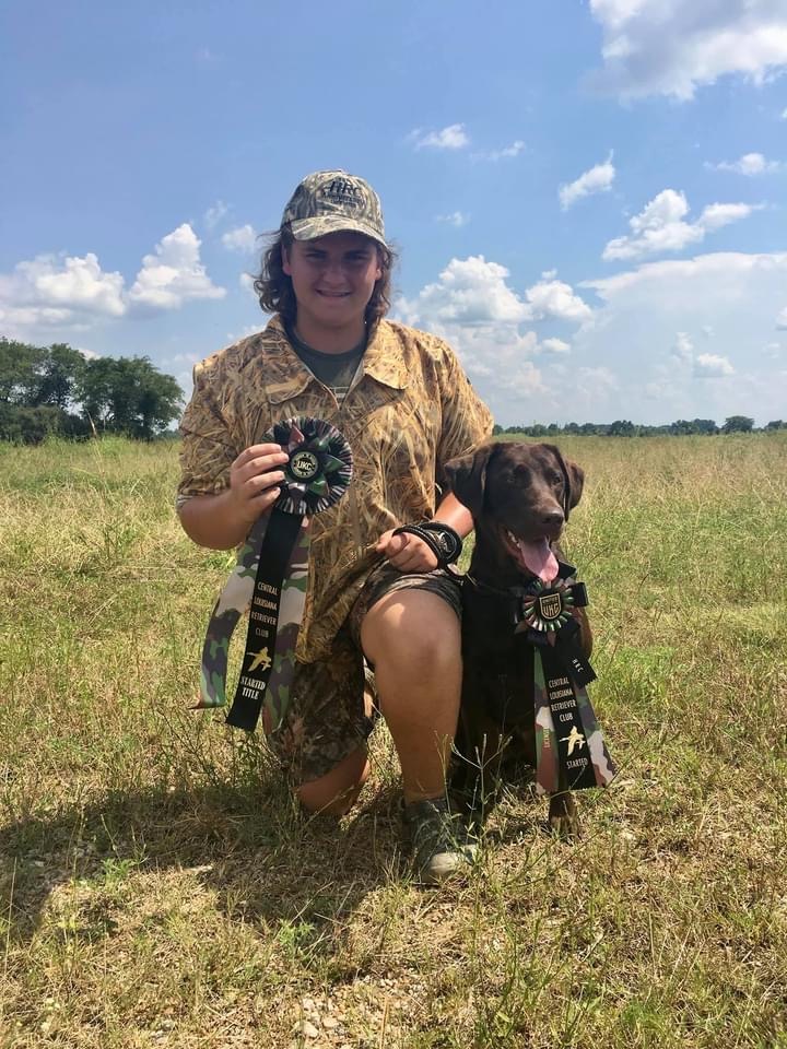 HR Stouts Creek Backwater Revival | Chocolate Labrador Retriver