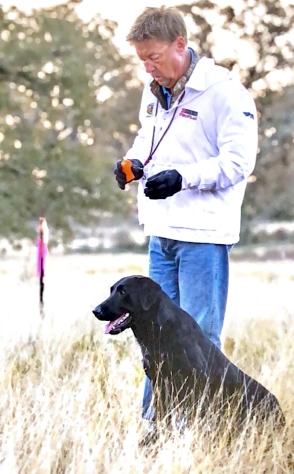 AFC Razor's Buckshot QA2 NDL | Black Labrador Retriver