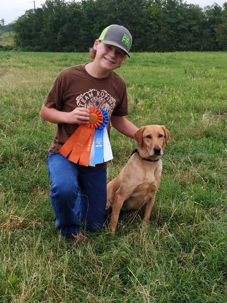 Washita's One With The Force | Yellow Labrador Retriver