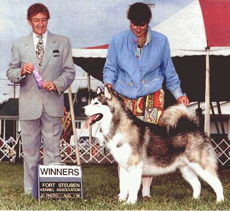 Barrenfield Bunker Buster {BUBBA} (CAN) | Alaskan Malamute 