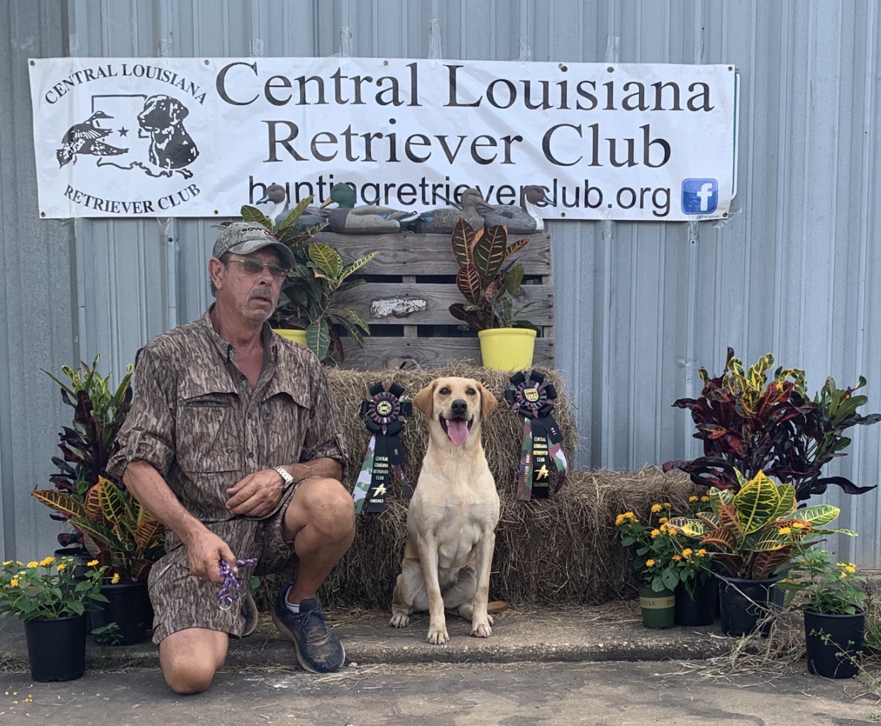 HRCH Cuz's Gypsy Pearl | Yellow Labrador Retriver