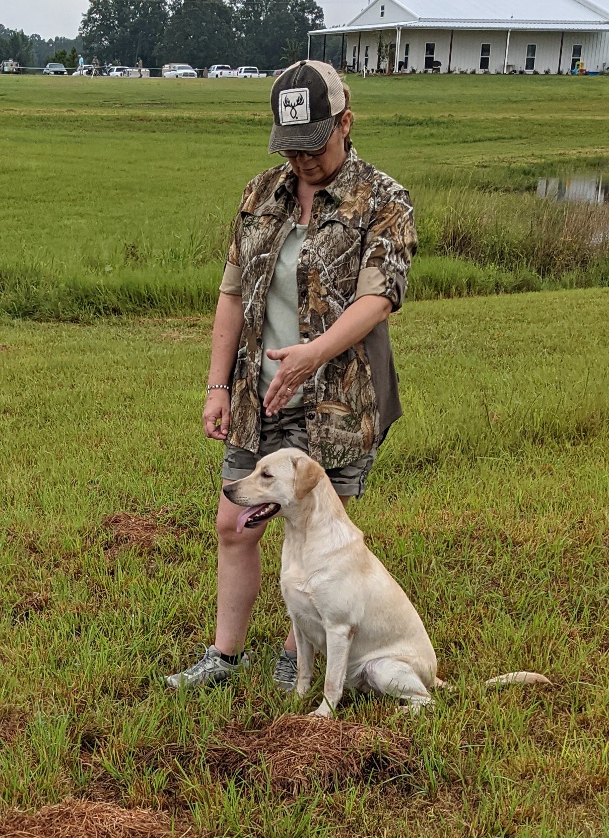 HR Tatum Creek's Semper FiDo Ruby | Yellow Labrador Retriver