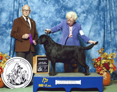 CH UKC CH Diamonds Hocus Pocus SH RAE CDX | Black Labrador Retriver