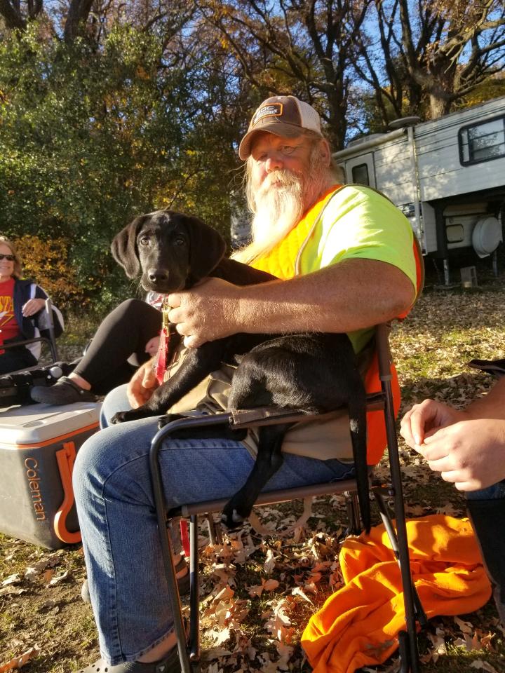 Jk Black Betty | Black Labrador Retriver