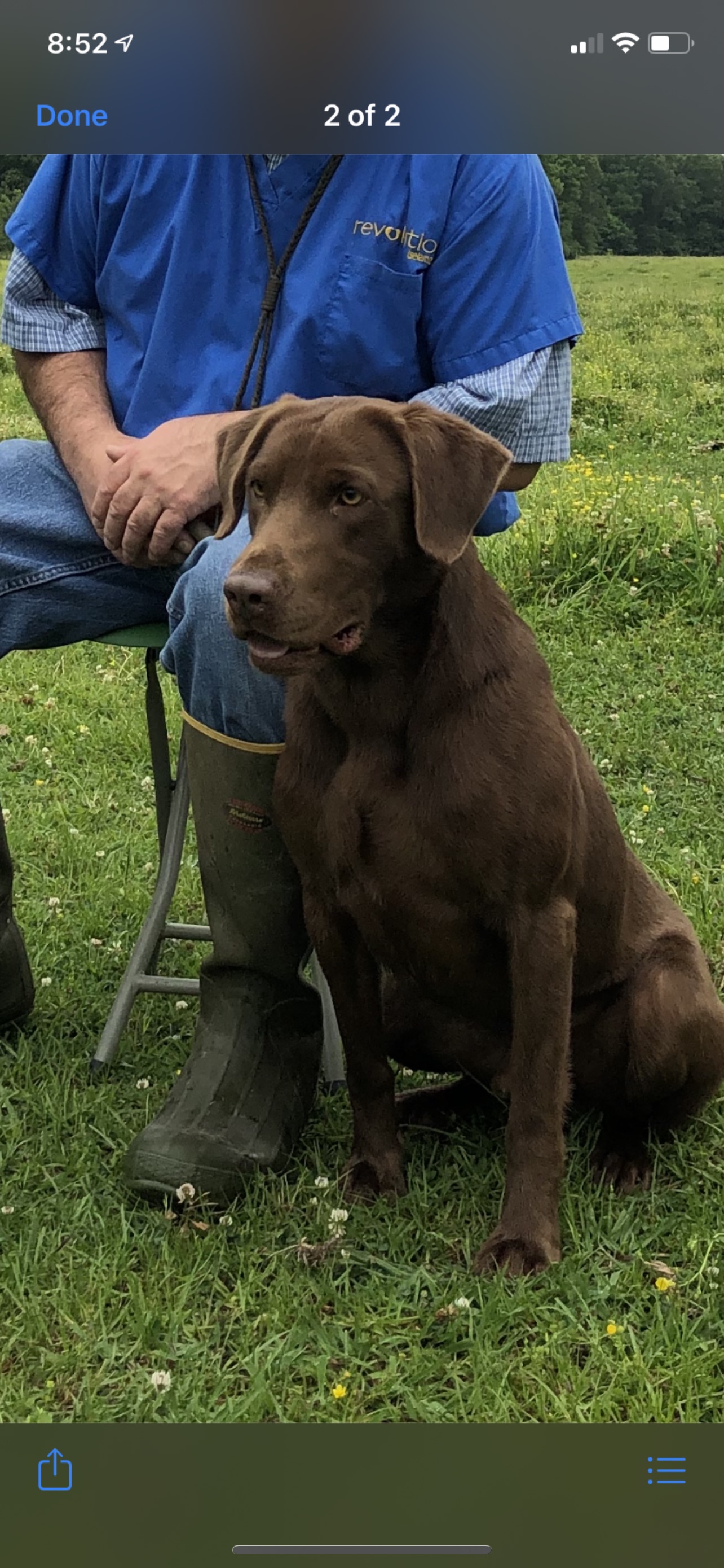 HRCH Thevis's Chief Running Ruger-roux | Chocolate Labrador Retriver