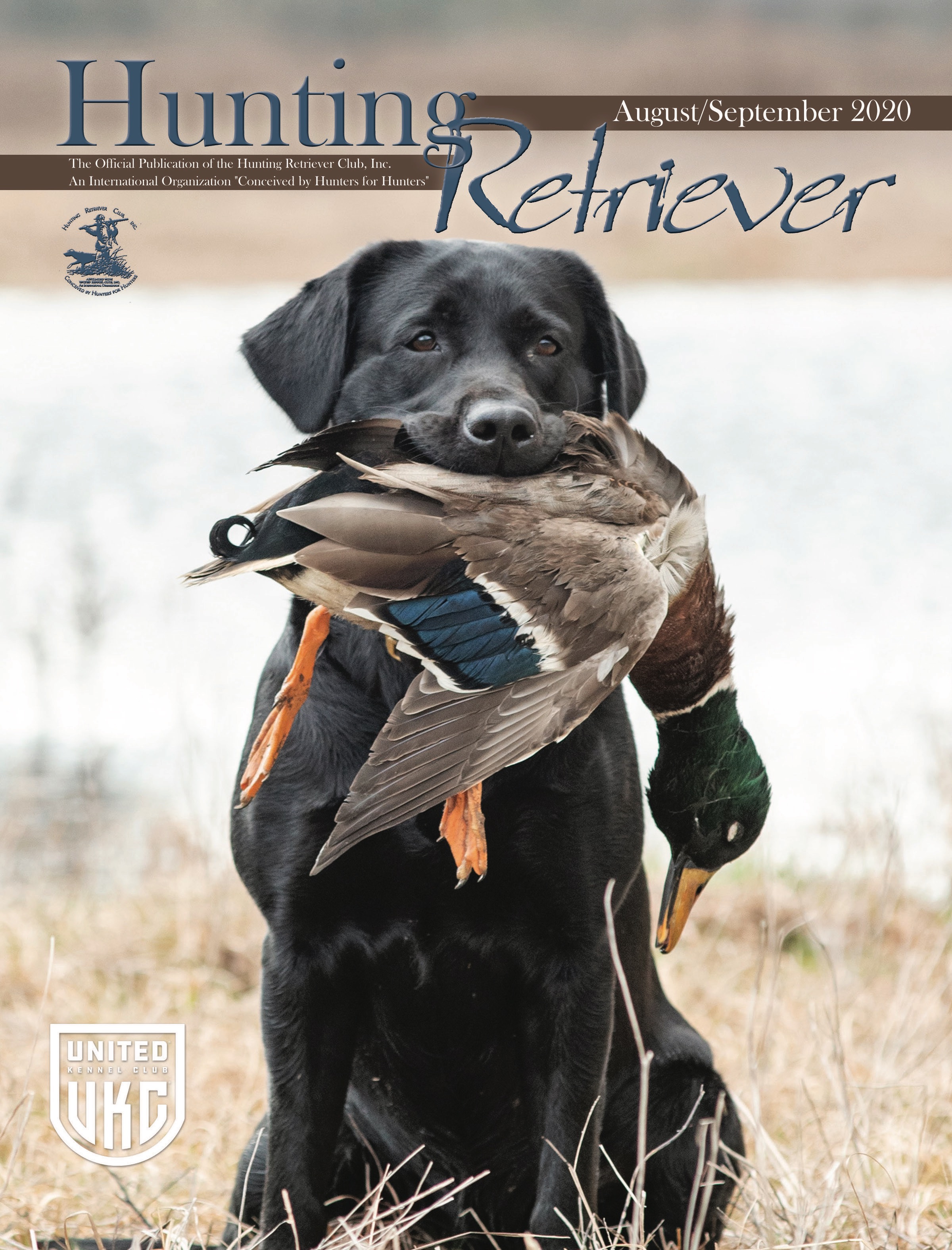 HRCH Beaver Creek's Super Mag SH | Black Labrador Retriver