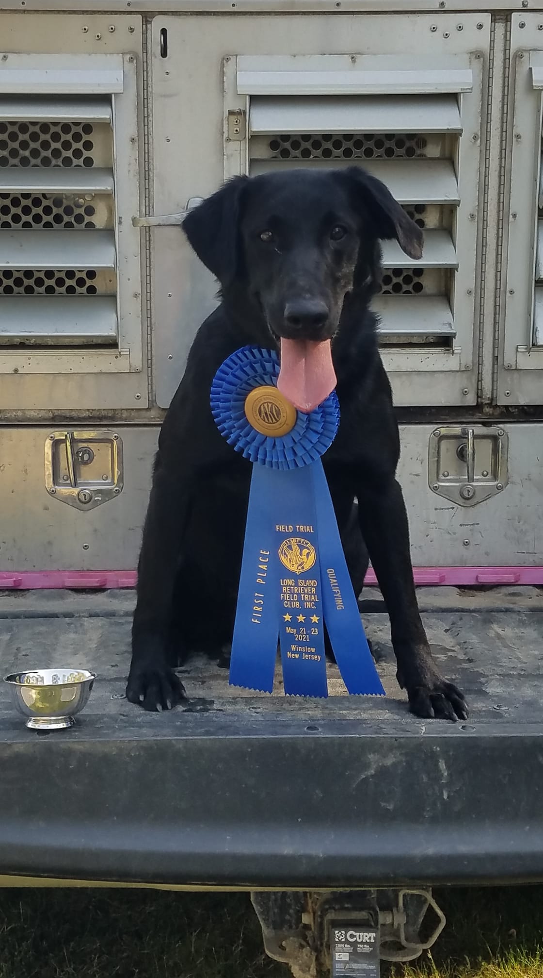 Stonewall's Fresh Out Of The Den | Black Labrador Retriver