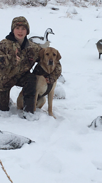 Sheyenne Rivers Huck Finn SH | Yellow Labrador Retriver