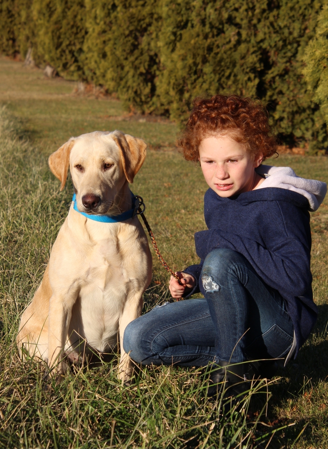 Copperviews Laced Ace | Yellow Labrador Retriver