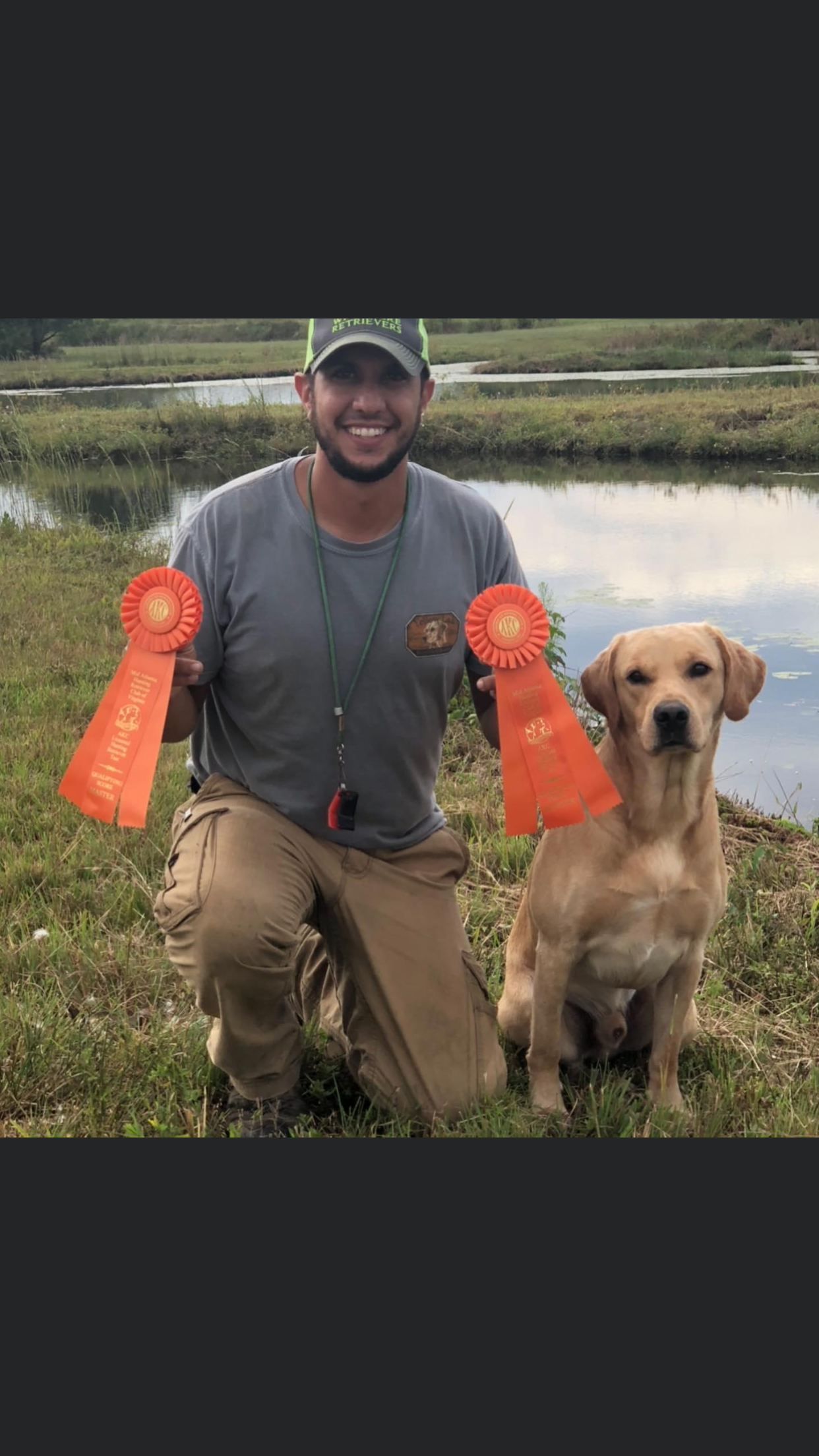 HR Chief Of The Bayou II MH | Yellow Labrador Retriver