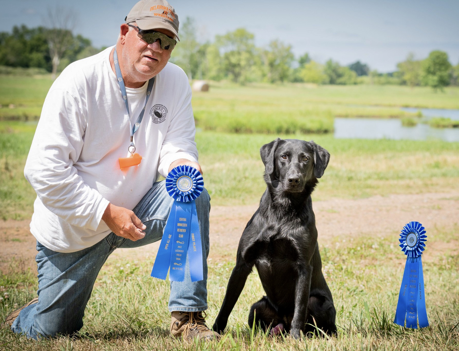 Tubb's Greatest Hit QA2 | Black Labrador Retriver