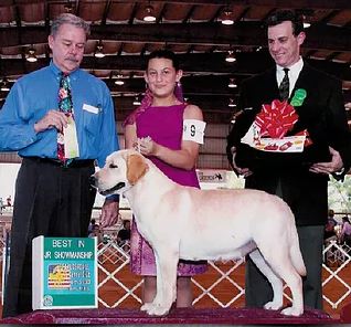 AM CH INT CH Chambray's Chance N Counter CGC TDI | UNKN Labrador Retriver