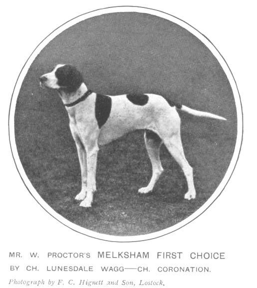 Melksham First Choice | Pointer 