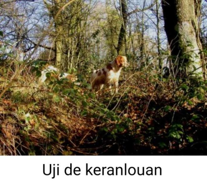 UJI de Keranlouan | Brittany 