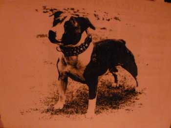 Emden Corsican | Staffordshire Bull Terrier 