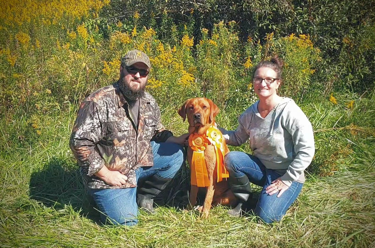 Dempseys Red Ryder Of Certainty | Yellow Labrador Retriver