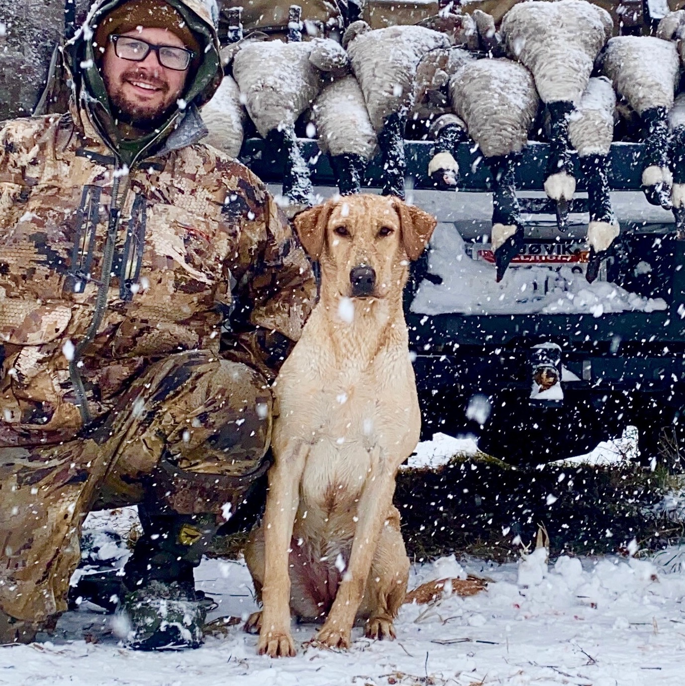 GRHRCH UH Redwoods Scratch Winters Itch | Yellow Labrador Retriver