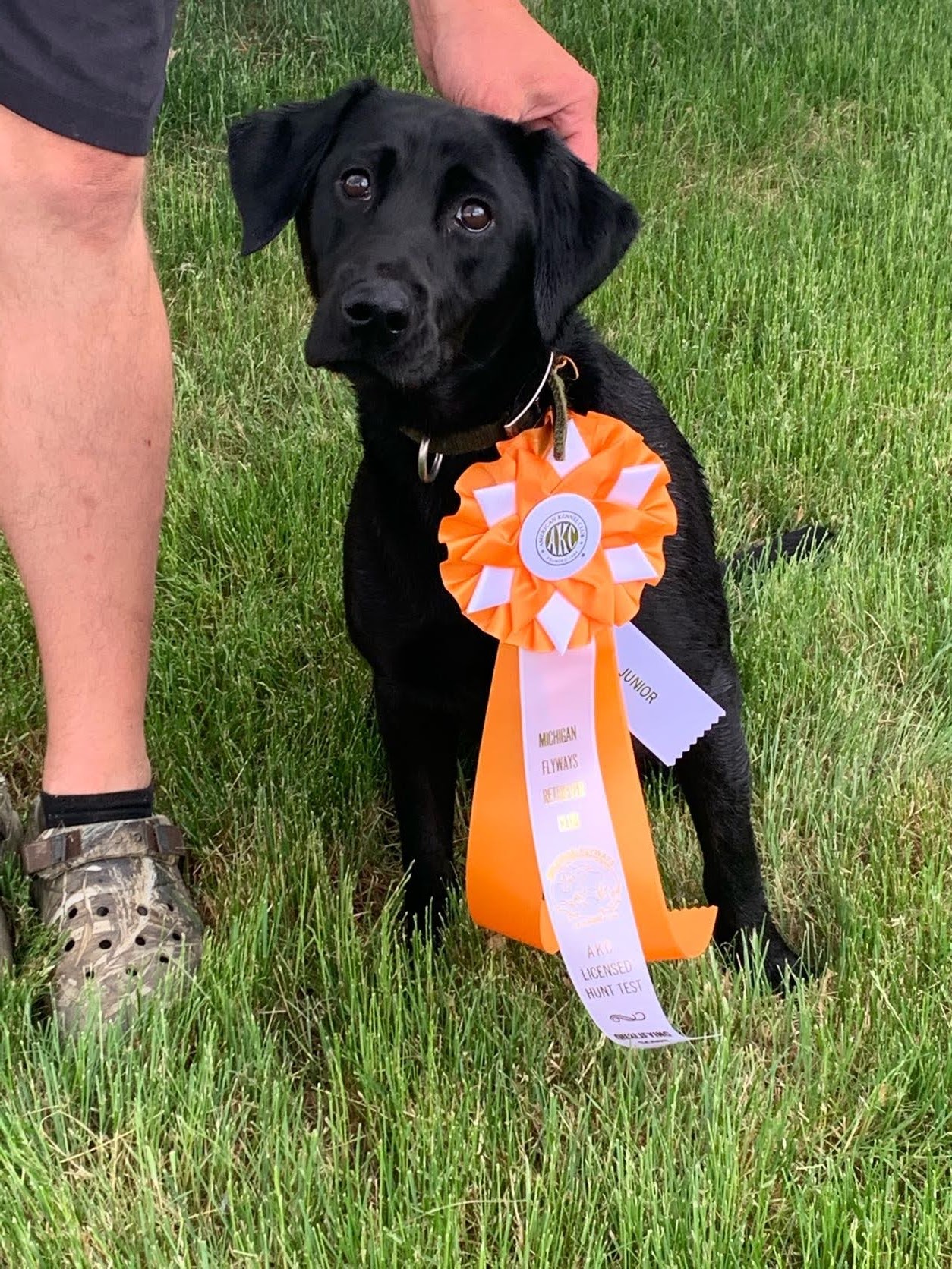 Bos’s Grand Catch JH | Black Labrador Retriver