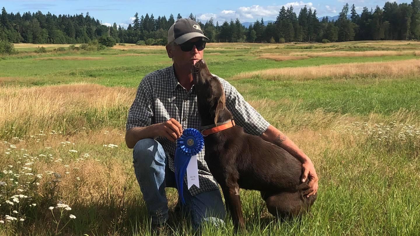 FTCH Belmont’s 45 Caliber Chaos | Chocolate Labrador Retriver