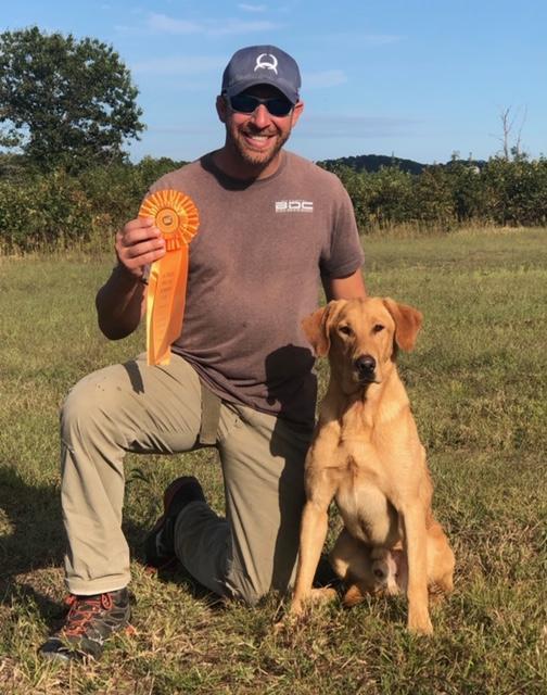 Elk View Trapper SH | Yellow Labrador Retriver