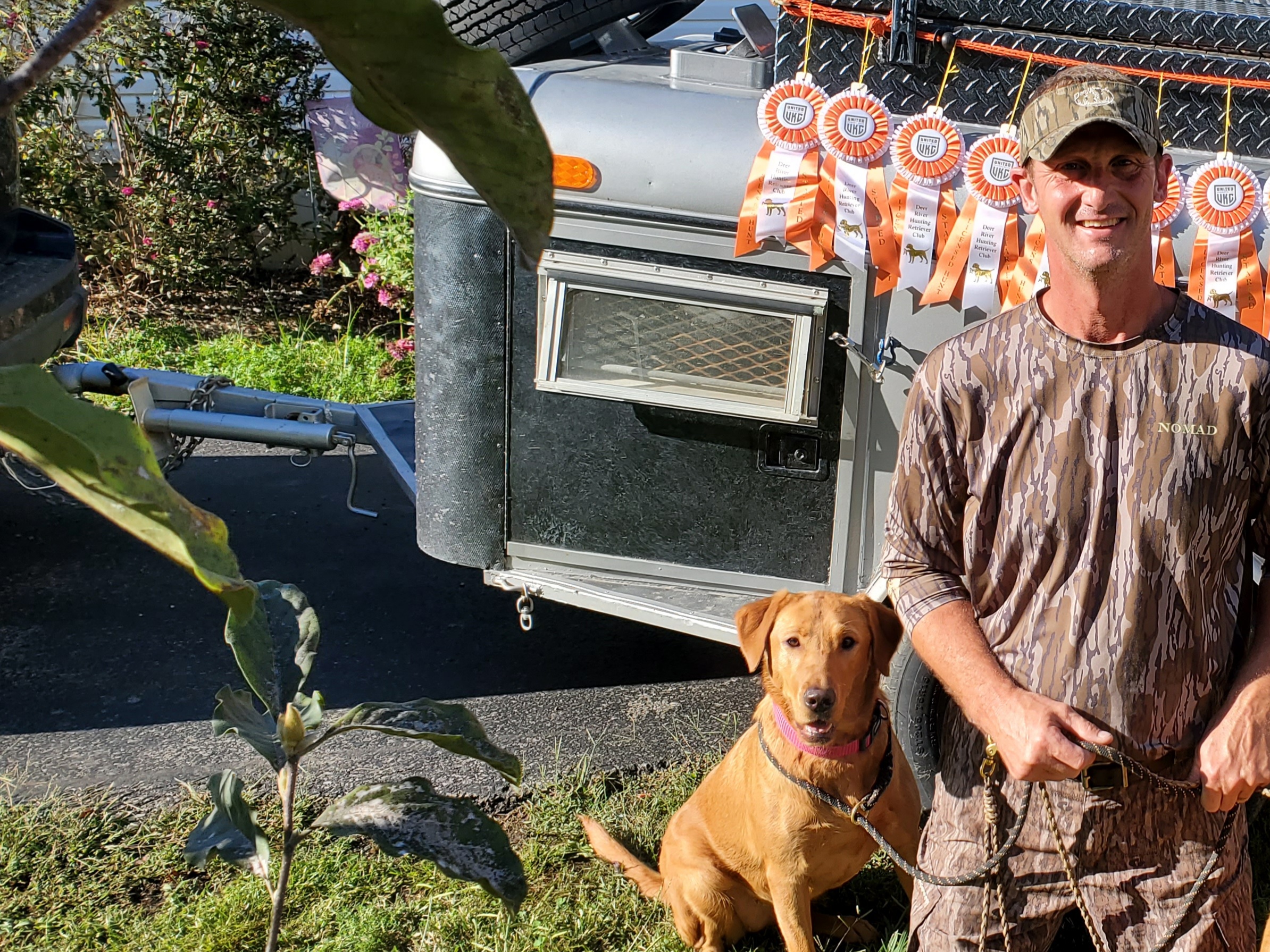 Big Water Dreams Gone With The Wind | Yellow Labrador Retriver