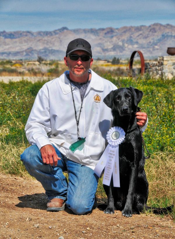 Black Pearls Finley | UNKN Labrador Retriver