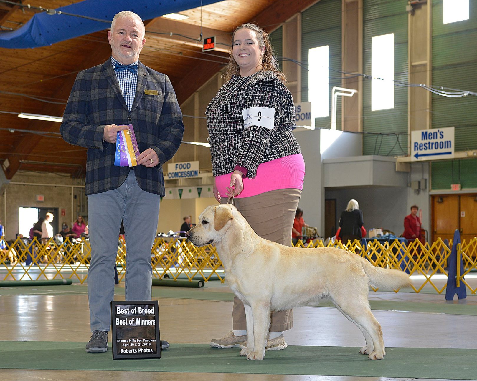 Am GCh/Int Ch Westlane's Like A Rock JH DN WC CA BCAT | Yellow Labrador Retriver