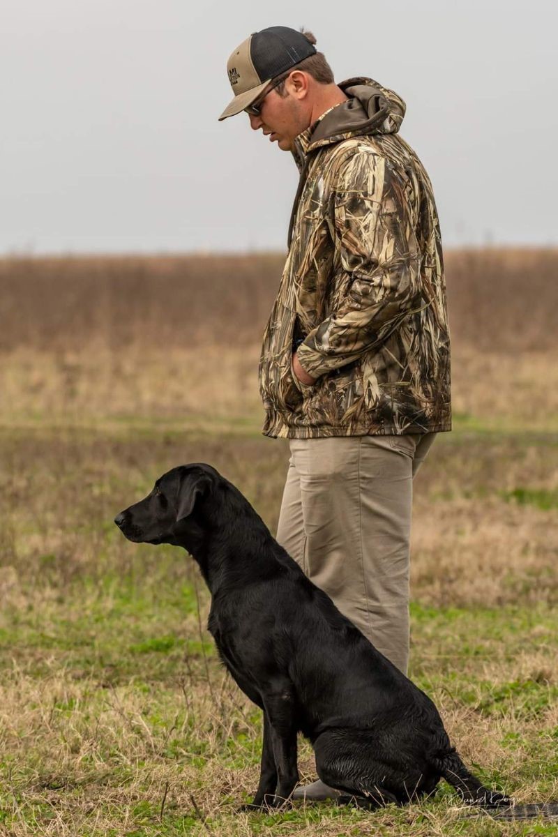 Onyx Babayaega Blackfish Crookshank | Black Labrador Retriver