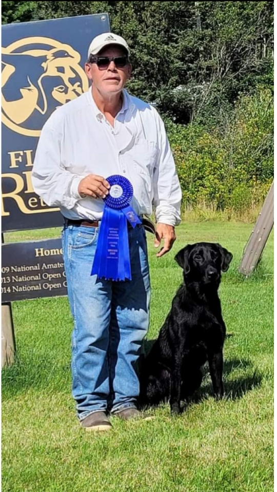 GG Top Billy Blue Boy QAA | Black Labrador Retriver