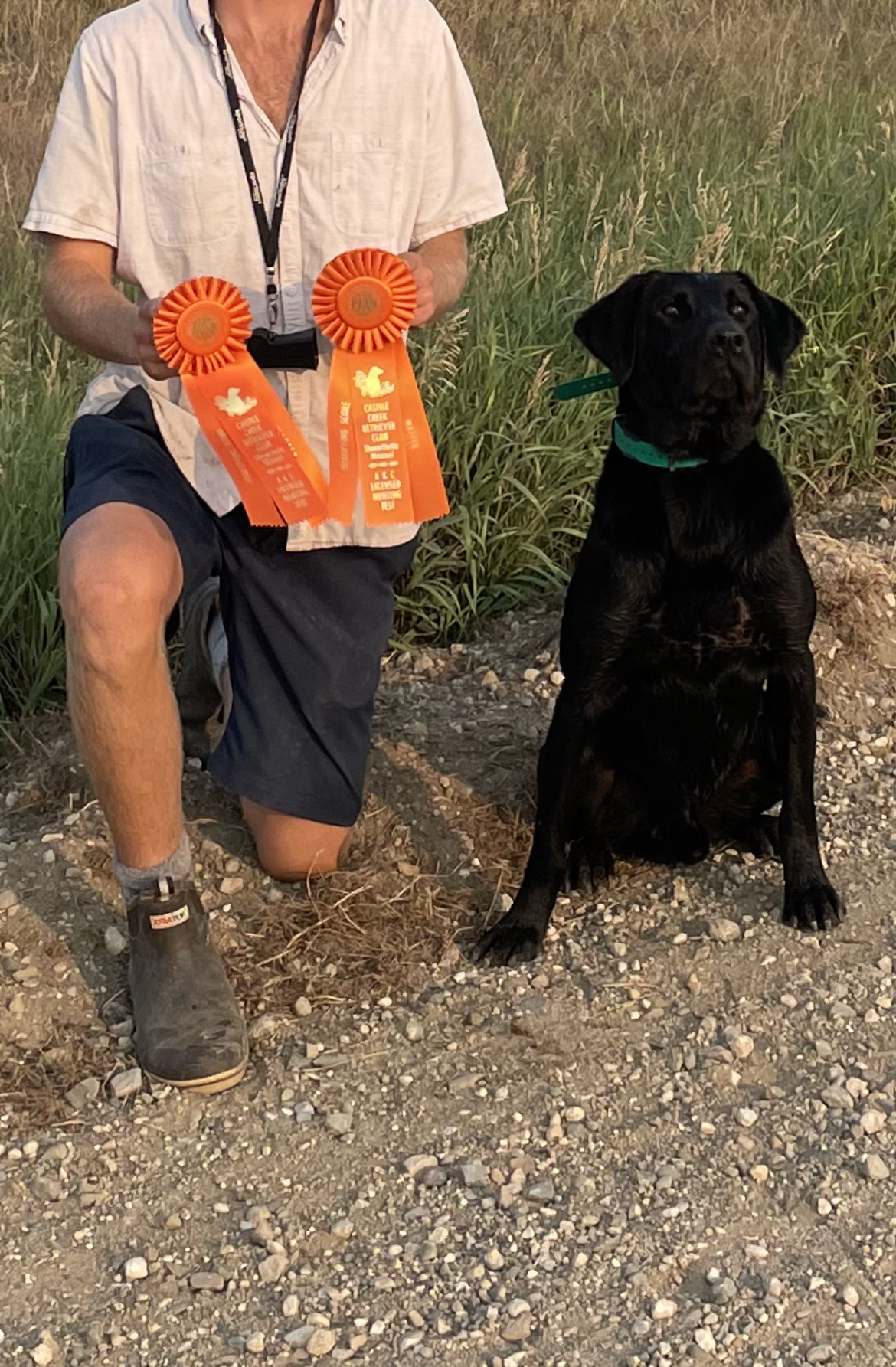 HRCH  McMinn’s Ace Char MH12 | Black Labrador Retriver