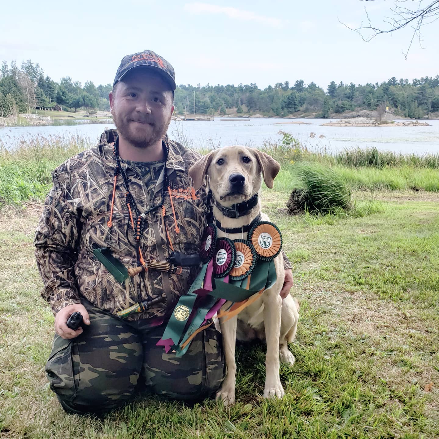 SHR Erie Shores Britomartis | Yellow Labrador Retriver