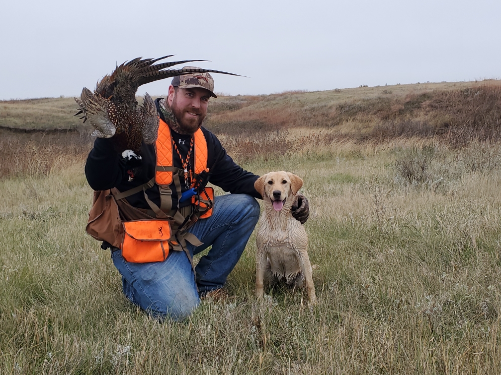 Fully Charged TNT’s Blonde Bombshell | Yellow Labrador Retriver