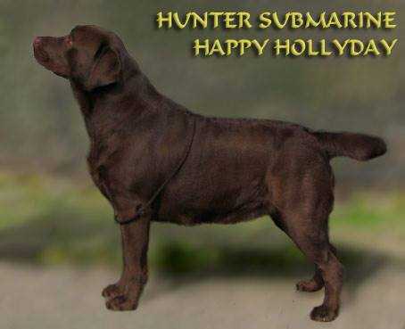 CH Hunter Submarine Happy Hollyday | UNKN Labrador Retriver