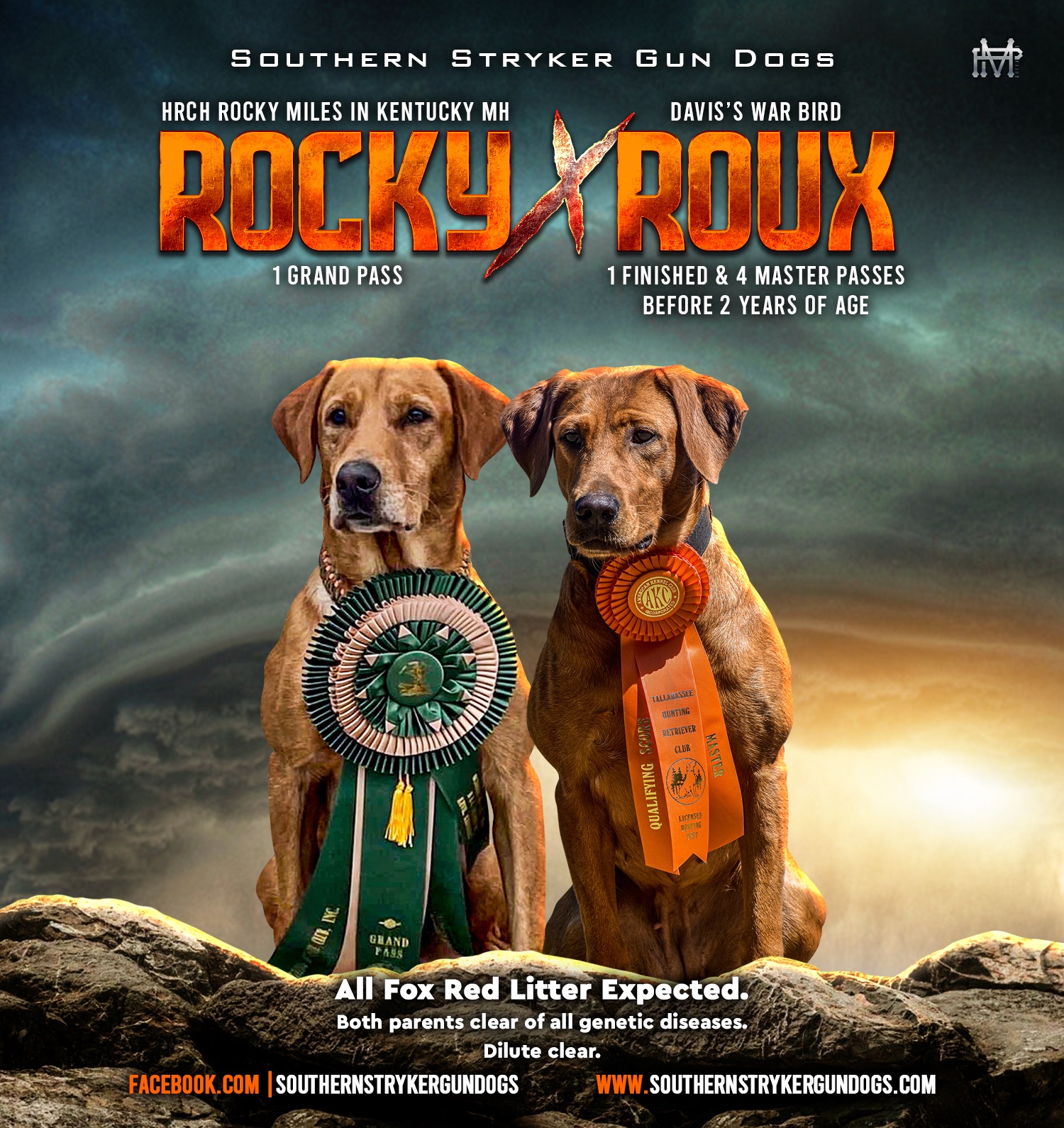 Southern Strykers Little Red Rocket | Yellow Labrador Retriver